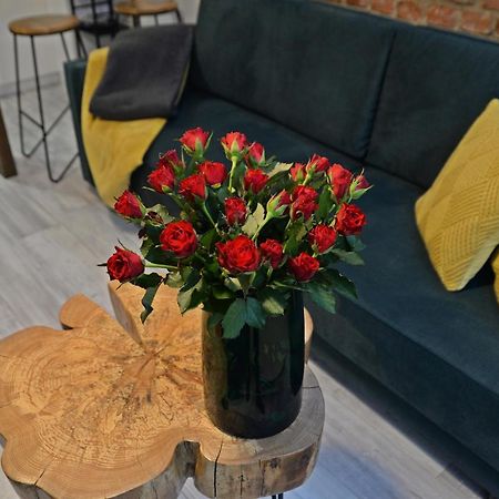 Апартаменты Loft Maly Косцежина Экстерьер фото